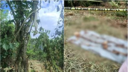 അസ്ഥികൂടം കണ്ടെത്തിയ സംഭവത്തിൽ ദുരൂഹത നീക്കാൻ പൊലീസ്; അടുത്ത് തന്നെ തുണിയും മുടിയിഴകളും തുണിക്കഷ്ണങ്ങളും