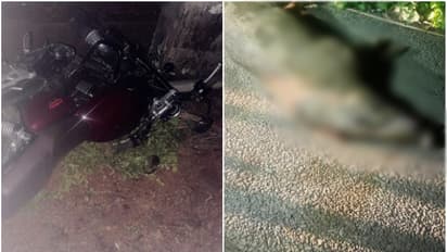 ബൈക്കിൽ യാത്ര ചെയ്യവെ കാട്ടുപന്നി ഇടിച്ചുവീഴ്ത്തി; യുവാവിന് ഗുരുതര പരിക്ക്