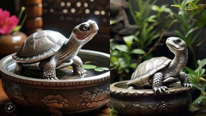 ಕಳೆದುಕೊಂಡ ಸಂಪತ್ತನ್ನು ಮರಳಿ ಪಡೆಯಲು ನಿಮ್ಮ ಮನೆಗೆ ಈ ವಸ್ತುಗಳನ್ನು ತಂದಿಡಿ!