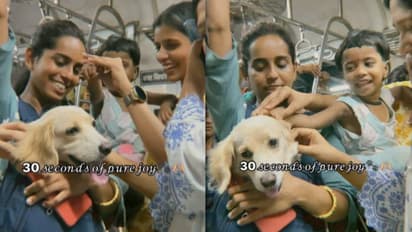 ആഹാ, ആരാണിത്? ട്രെയിനിൽ അപ്രതീക്ഷിതമായി ഒരു അതിഥി, യാത്രക്കാരുടെ മനം കവർന്നു, വീഡിയോ