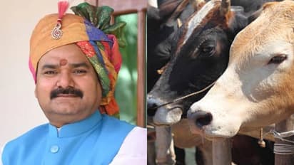 'പശുത്തൊഴുത്തിൽ കിടന്നാൽ ക്യാൻസർ മാറും'; ജന്മദിനവും വിവാഹ വാർഷികവും ഗോശാലകളിൽ ആഘോഷിക്കണമെന്നും യുപി മന്ത്രി