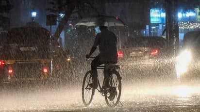 ദാന എഫക്ട്; ഇന്നും ഒറ്റപ്പെട്ടയിടങ്ങളിൽ ശക്തമായ മഴ, 7 ജില്ലകളിൽ മുന്നറിയിപ്പ്