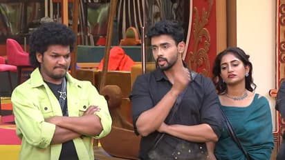 మెగా చీఫ్ గా గౌతమ్, బిగ్ బాస్ హౌస్ లో వెన్నుపోటు ఆటలు.. అవినాశ్ త్యాగం 