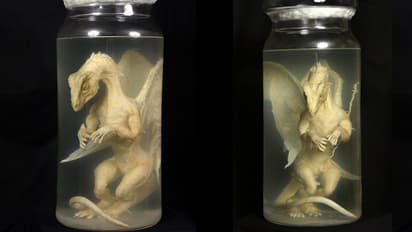 'കുപ്പിയിലടച്ച കുഞ്ഞ് ഡ്രാഗൺ', പ്രദർശനത്തിന്; എല്ലാം നോവലിന് വേണ്ടിയുള്ള തട്ടിപ്പായിരുന്നെന്ന് എഴുത്തുകാരന്‍