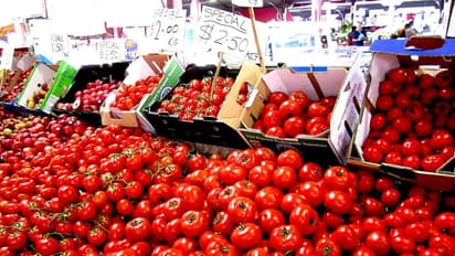 சரசரவென வீழ்ந்த தக்காளியின் விலை: நிம்மதி பெருமூச்சி விட்ட இல்லத்தரசிகள்