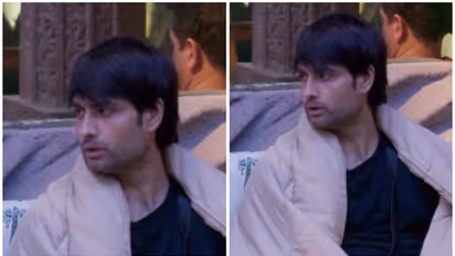 Bigg Boss 18: "She stayed with me until..”: Vivian Dsena talks about his divorce with Vahbiz Dorabjee