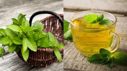 ഡയറ്റില്‍ പുതിനയില ഉൾപ്പെടുത്തൂ; അറിയാം ഗുണങ്ങള്‍ 