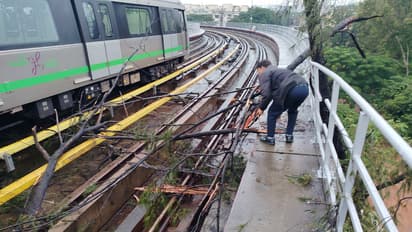 Namma Metro: ನೇರಳೆ ಮಾರ್ಗದಲ್ಲಿ ಹಳಿ ಮೇಲೆ ಬಿದ್ದ ಮರ ತೆರವು: ಮೆಟ್ರೋ ಸಂಚಾರ ಪುನರಾರಂಭ!