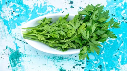 മുടികൊഴിച്ചിൽ കുറയ്ക്കാനും താരൻ അകറ്റാനും മല്ലിയില ; ഉപയോ​ഗിക്കേണ്ട വിധം 