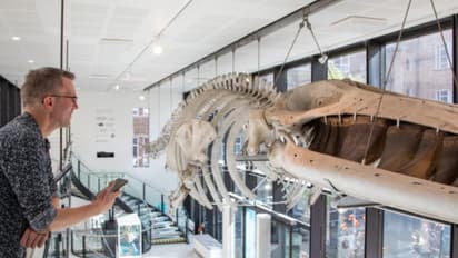 വംശനാശം സംഭവിച്ച ജീവികളോടും ഇനി സംസാരിക്കാം!