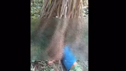 UP SHOCKER! 5-year-old found dead with throat slit; body recovered from fields in Muzaffarnagar