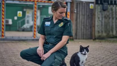 16 കൊല്ലമായി ആംബുലൻസ് സ്റ്റേഷനിലെ അന്തേവാസി, വയസുകാലത്ത് പൂച്ചയെ മാറ്റരുത് എന്ന് ആവശ്യപ്പെട്ട് പെറ്റീഷൻ