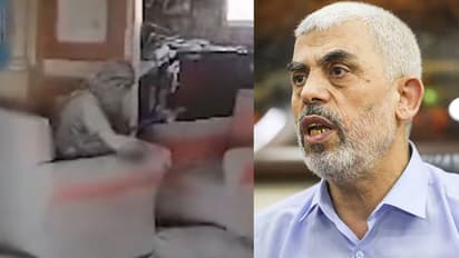 'തലയിൽ വെടിയേറ്റു, കൈ തകർന്നു', ഹമാസ് തലവന്റെ മരണകാരണം വ്യക്തമാക്കി പോസ്റ്റുമോർട്ടം റിപ്പോർട്ട് 