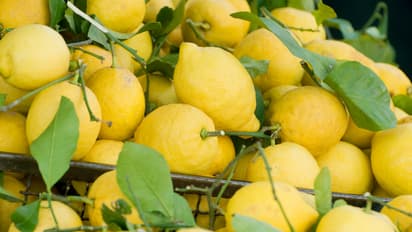 ഡയറ്റില്‍ ചെറുനാരങ്ങ ഉള്‍പ്പെടുത്തൂ; അറിയാം ഗുണങ്ങള്‍ 