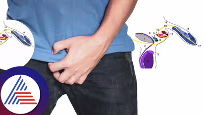 ಕೆಲವರಿಗಿರುತ್ತೆ ಮೂರು ಶಿಶ್ನಗಳು, ಇವರ ಲೈಂಗಿಕ ಜೀವನ ಸಹಜವಾಗಿಯೇ ಇರುತ್ತಾ? 