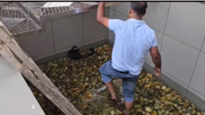 ഒന്നൊന്നായി കാണാതാകുന്ന വിലപിടിപ്പുള്ള അലങ്കാര മത്സ്യങ്ങള്‍, ഒടുവിൽ കള്ളനെ പിടിച്ചപ്പോൾ അമ്പരന്ന് വീട്ടുകാര്‍