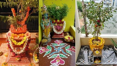 kartik maas 2024 tulsi vastu upay for prosperity and money