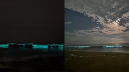 വൈകുന്നേരം കടൽതീരത്തെത്തിയവരെ കാത്തിരുന്നത് കവരടിച്ച തിരമാലകൾ, കാണാനെത്തിയത് നിരവധിപ്പേർ