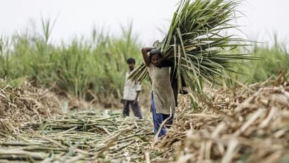 வேளாண் பட்ஜெட்டில் விவசாயிகளுக்கு இன்ப அதிர்ச்சி! ரூ.2.50 லட்சம் ரொக்க பரிசு அறிவிப்பு! 