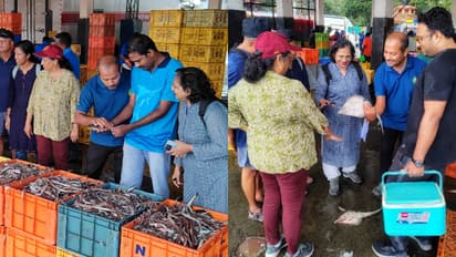 പാമ്പാട, ഉണ്ണിമേരി മുതൽ കടൽമാക്രി വരെ; കടലറിവുകൾ തേടി ഫിഷ് വോക്, സംഘടിപ്പിച്ചത് സമുദ്രമത്സ്യ ഗവേഷണ സ്ഥാപനം