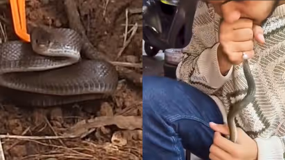 റോഡ് സൈഡിൽ അനക്കമില്ലാതെ പാമ്പ്, ഒന്നും നോക്കിയില്ല സിപിആർ നൽകി യുവാവ്, വൈറലായി ദൃശ്യം