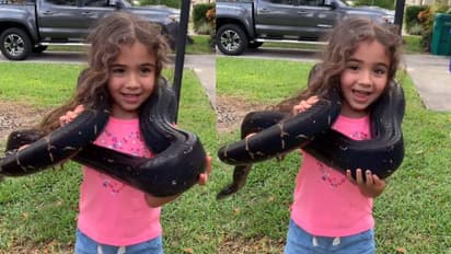 'അതൊരു പാമ്പാണ്, മറന്നുപോകരുത്'; കൂറ്റൻ പാമ്പിനെ കഴുത്തിൽ ചുറ്റി പെൺകുട്ടി, വൻ വിമർശനം