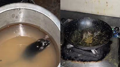 SHOCKING! Rats found running in hostel kitchen at IIT Roorkee; probe begins [WATCH]