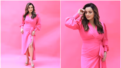 'I was told to give up...', Neelam Kothari BREAKS silence on her FIRST marriage