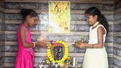 ಹಾವಿನ ದ್ವೇಷದ ಭಯಕ್ಕೆ ಒಂದೇ ರಾತ್ರಿಯಲ್ಲಿ ದೇವಸ್ಥಾನ ನಿರ್ಮಾಣ