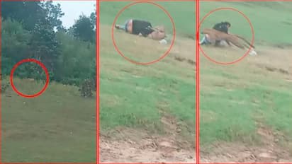 ವೀಕೆಂಡ್ ಪಿಕ್ನಿಕ್ ಅಂತ ಕಾಡಿಗೆ ಬಂದವರ ಮೇಲೆ ಚಿರತೆ ದಾಳಿ: ಮೂವರಿಗೆ ಗಂಭೀರ ಗಾಯ