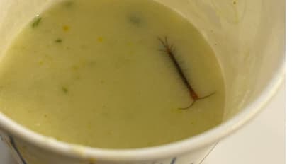 റെയിൽവെ വിഐപി ലോഞ്ചിൽ കിട്ടിയ ഭക്ഷണത്തിൽ പഴുതാര: ചിത്രം പങ്കുവെച്ച് യാത്രക്കാരൻ, പ്രതികരിച്ച് ഐആർസിടിസി