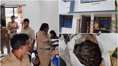 വാടക വീട്ടിൽ നിന്ന് പിടികൂടിയത് 3 പ്ലാസ്റ്റിക് ചാക്ക് കഞ്ചാവ്; ഭർത്താവ് ഓടി രക്ഷപെട്ടു, ഭാര്യ കസ്റ്റഡിയില്‍