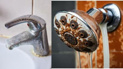 দিওয়ালিতে ঘর পরিস্কারের সময় বাথরুম থেকে সরিয়ে ফেলুন এই জিনিস, নয়তো তৈরি হবে বাস্তু দোষ