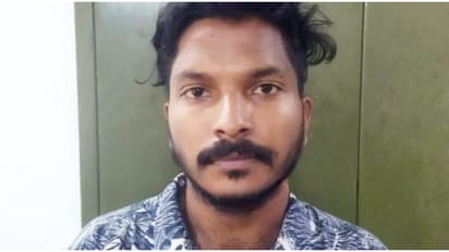 എത്തിയത് കോഴിക്കൂട് നിർമിക്കാൻ, ഒറ്റക്ക് താമസമെന്നറിഞ്ഞതോടെ പട്ടാപ്പകൽ അതിക്രമിച്ച് സ്വർണം കവർന്നു, പിടിയിലായി