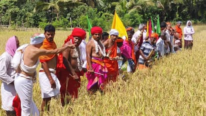 ಉತ್ತರ ಕನ್ನಡದಲ್ಲಿ ಹೊಸ್ತಿನ ಹಬ್ಬ ಆಚರಿಸಿದ ರೈತರು: ಭತ್ತದ ಪೈರಿಗೆ ಪೂಜೆ ಸಲ್ಲಿಕೆ