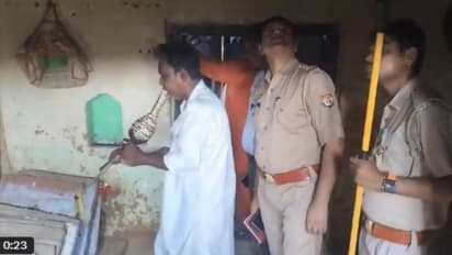 സർപ്പത്തിൻ്റെ 'പ്രതികാര'മെന്ന് ജനം! ഒന്നിനുപുറകെ ഒന്നായി കടിച്ചത് അഞ്ചുപേരെ, അമ്മയും മക്കളും മരിച്ചു