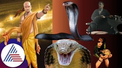 ಚಾಣಕ್ಯ ನೀತಿ; ಈ ಮೂವರು ಹಾವಿಗಿಂತಲೂ ವಿಷಕಾರಿ, ಎಂದಿಗೂ ಅವರ ಬಳಿ ಸಹಾಯ ಕೇಳಬೇಡಿ
