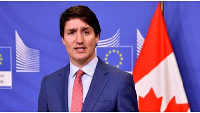 ഇന്ത്യയോട് ഇടഞ്ഞതിന് പിന്നാലെ ജസ്റ്റിൻ ട്രൂഡോയ്ക്ക് തിരിച്ചടി; പാളയത്തിൽ പടയൊരുക്കം, രാജി വെയ്ക്കാൻ സമ്മർദ്ദം