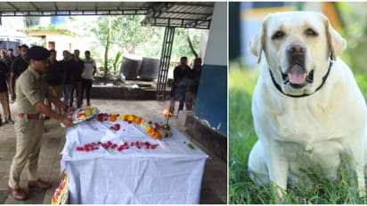 പ്രമാദമായ കേസുകളിൽ കേരള പൊലീസിന് തുമ്പ് കണ്ടെത്തിയ 'അമ്മു' ഓർമ്മയായി! ഔദ്യോഗിക ബഹുമതികളോടെ സംസ്കാരം