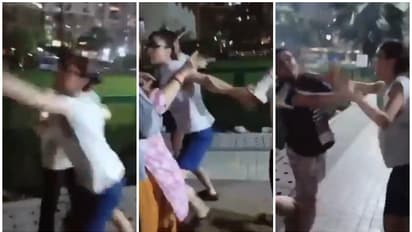 പട്ടിയുടെ കഴുത്തില്‍ ബെല്‍റ്റ് കെട്ടാന്‍ ആവശ്യപ്പെട്ടു, യുവതി വൃദ്ധ ദമ്പതികളെ തല്ലി; വീഡിയോയ്ക്ക് വിമര്‍ശനം 