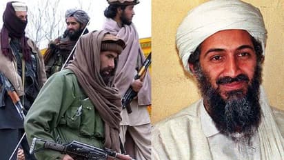 ಲಾಡೆನ್ ಹತ್ಯೆಯಾದ ಪಾಕ್ನ ನಗರದಲ್ಲಿ3 ಉಗ್ರ ಸಂಘಟನೆಗಳ ತರಬೇತಿ ಕ್ಯಾಂಪ್