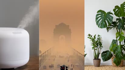 Protect your health! 7 gadgets to protect your lungs from Delhi's rising air pollution