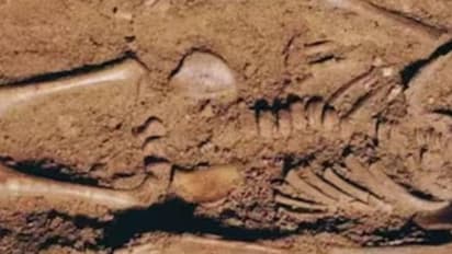 17,000 വർഷം പഴക്കമുള്ള കുഞ്ഞിന്റെ അസ്ഥികൂടം, 16 മാസം പ്രായം, ഇരുണ്ടനിറം, നീലക്കണ്ണ്, കണ്ടെത്തലുമായി ​ഗവേഷകർ