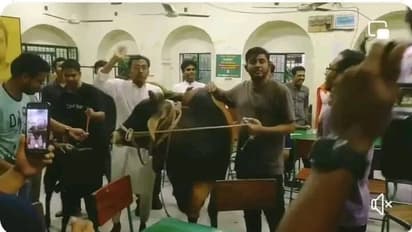 Bangladesh university students threaten to slaughter cow, demand beef at Hindu canteen; spark outrage (WATCH)