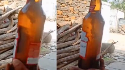 ബിയറിൽ ചത്ത പല്ലി, കുപ്പിയുമായി യുവാക്കൾ നേരെ പൊലീസ് സ്റ്റേഷനിലേക്ക്, സംഭവം തെലങ്കാനയിൽ