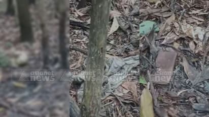 മൈലമൂട് വനത്തിനുള്ളിൽ മനുഷ്യന്റെ അസ്ഥികൂടം കണ്ടെത്തി; കാണാതായ ഭരതന്നൂര് സ്വദേശിയുടേതെന്ന് സംശയം