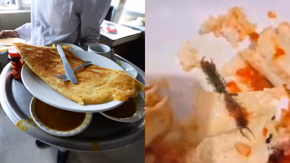 മസാല ദോശയിൽ ചത്ത പഴുതാര, പരാതിപ്പെട്ടിട്ടും അനക്കമില്ല, ഗുരുവായൂരിലെ ഇന്ത്യൻ കോഫി ഹൗസിനെതിരെ നടപടി