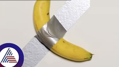 ಗೋಡೆ ಮೇಲೆ ಟೇಪ್ ಹಚ್ಚಿದ ಬಾಳೆಹಣ್ಣು 12 ಕೋಟಿಗೆ ಹರಾಜು! ನಂಬಲಾಸಾಧ್ಯವಾದ್ರೂ ಸತ್ಯ ಇದು...