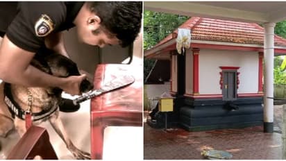 വിഗ്രഹവും കിരീടവും ശൂലവും സ്വർണ്ണവും കവർന്നു; തൃശൂരിൽ രണ്ട് ക്ഷേത്രങ്ങളിൽ മോഷണം