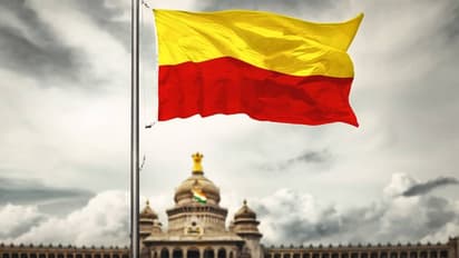 ಜಾಲತಾಣದಲ್ಲಿ ಉತ್ತರ ಭಾರತೀಯರಿಂದ ಕನ್ನಡಿಗರ ಅವಹೇಳನವೇ ಟ್ರೆಂಡ್!